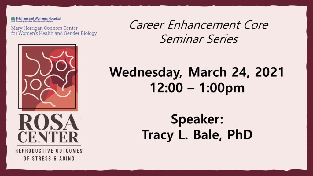 3/24/21 - ROSA Center Seminar: 