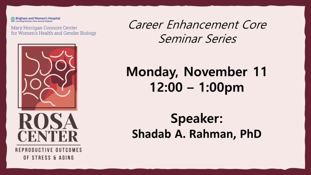 11/11/24 ROSA Center Seminar: 