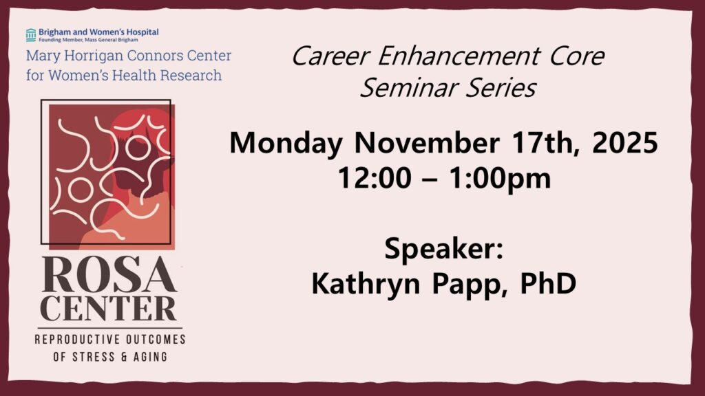 11/17/25 ROSA Center Seminar:
